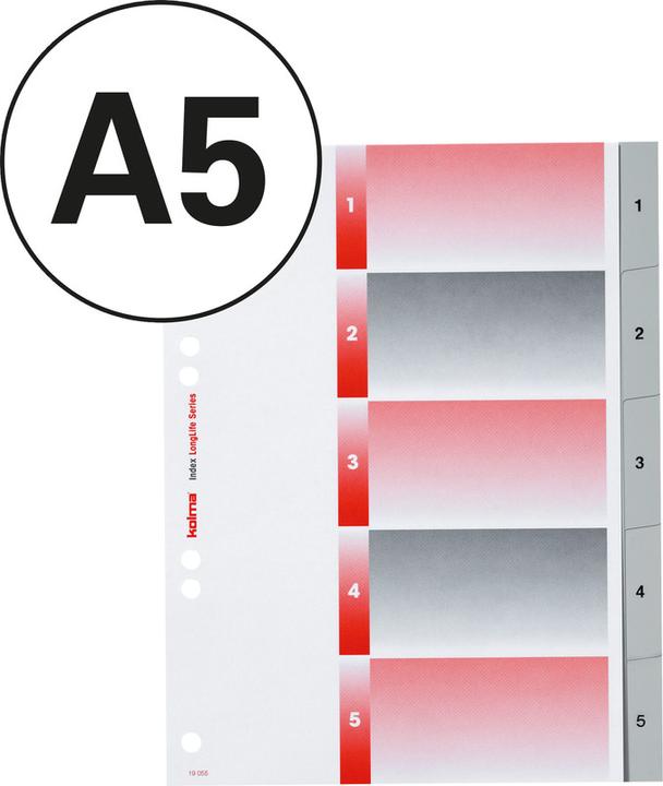 Actual product image Kolma Register LongLife full size grey, with index sheet
