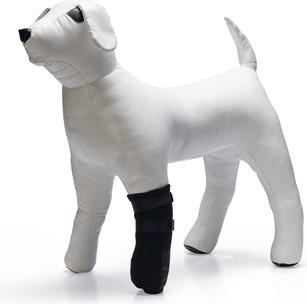 Image du produit Beeztees Bz Protection Pour Pattes Noir Pack De 2 (Chien)
