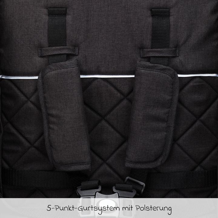 Actual product image Fillikid Buggys & Sportwagen Buggy & Sportwagen Styler Elite bis 22 kg