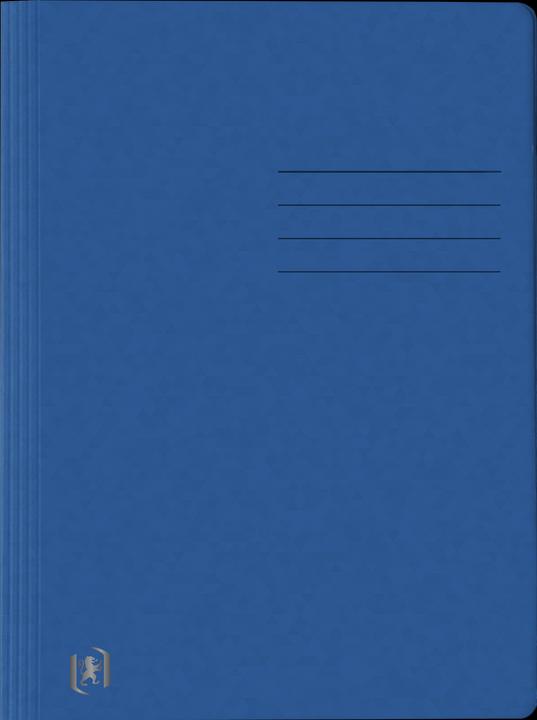 Actual product image Oxford TOP FILE+ loose-leaf binder, A4 (A4, 1 x)