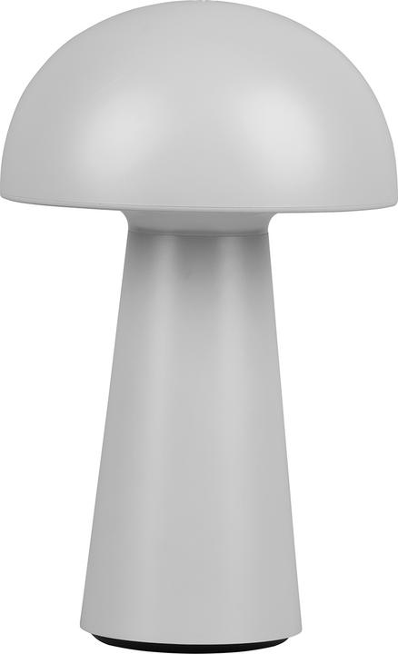 Actual product image Trio Lennon (180 lm)