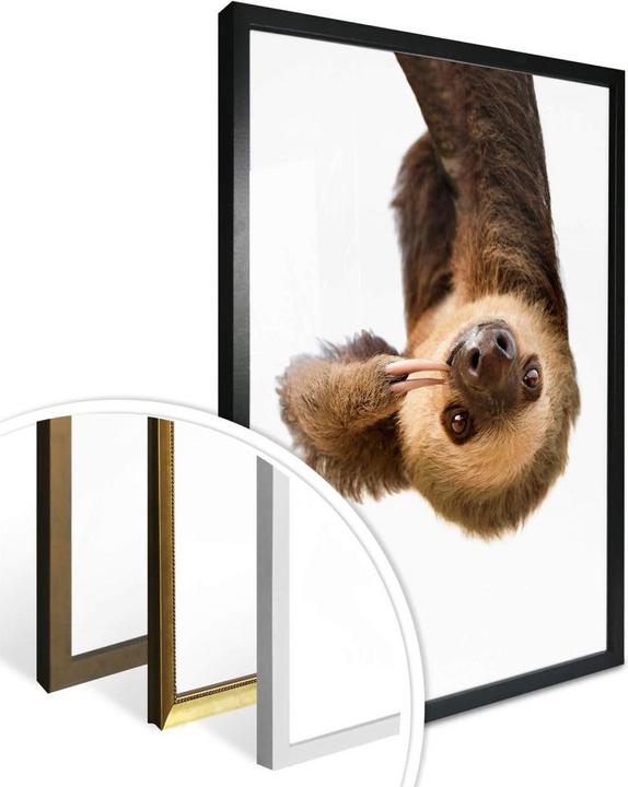 Produktbild Trenddeko Das Faultier (60 x 80 cm)