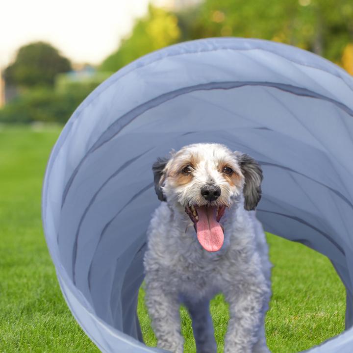 Immagine prodotto Relaxdays Tunnel per cani (Destrezza)