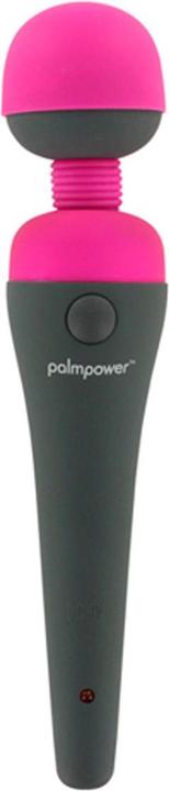 Palmpower Massager