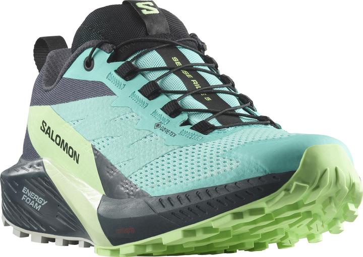 Immagine prodotto Salomon Sense Ride 5 GTX W 472160 40 2/3 (41)