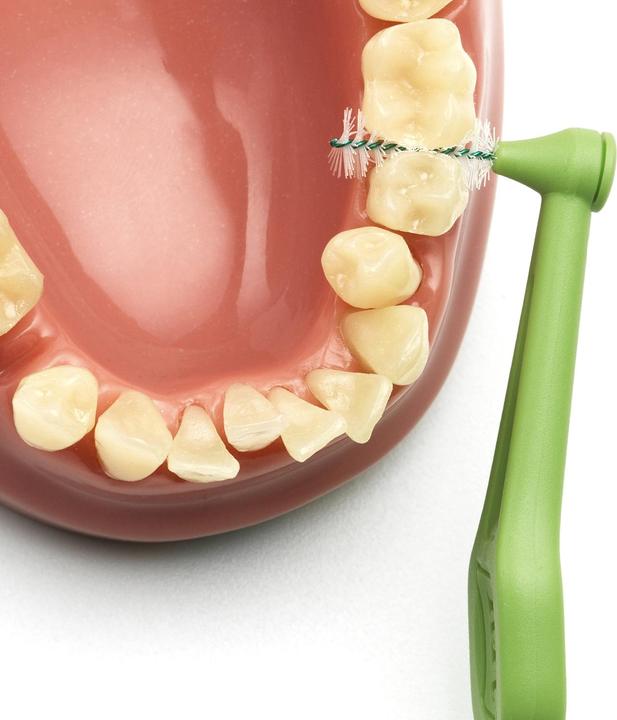Immagine prodotto TePe Spazzolini interdentali Angolo ISO 5 (6 x, 0.80 mm)