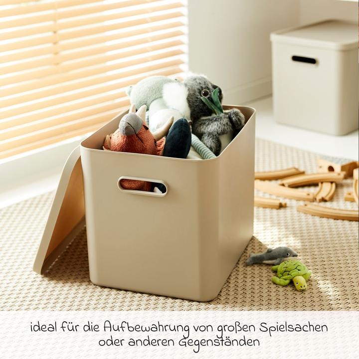 Actual product image Rotho Babydesign Spielzeugbox KAYO L Cappuccino