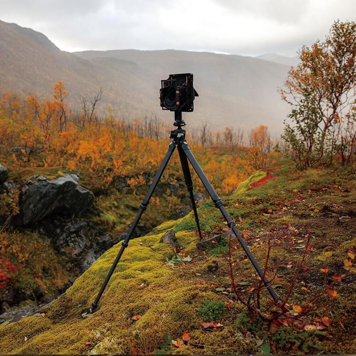 Produktbild Falcam TreeRoot Quick Lock Pro Tripod T00A4901