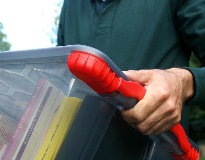 Actual product image Rotho Evo Safe Keeping (59 x 39.5 x 41 cm, 65 l)