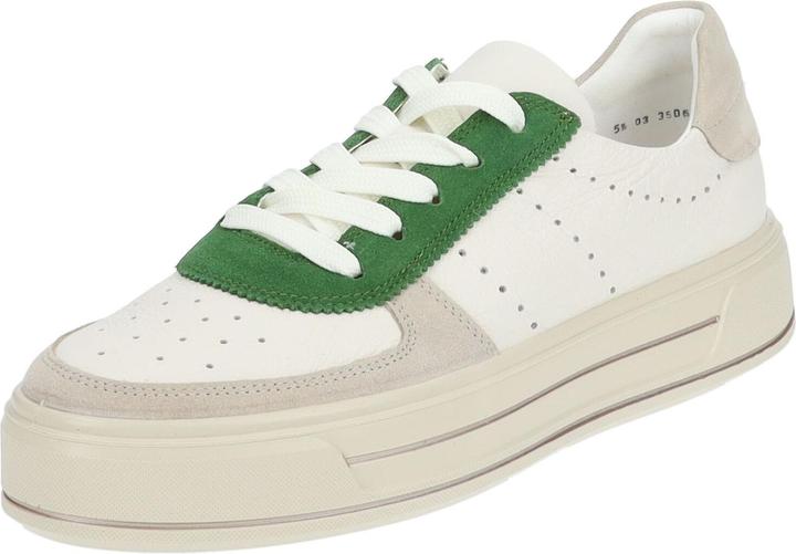 Shell, Cream, Grass 05