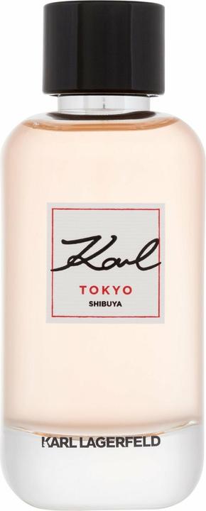 Image du produit Karl Lagerfeld Eau de Parfum (Eau de parfum, 100 ml)