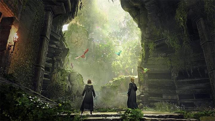 Produktbild WB Hogwarts Legacy (Switch 2, DE)
