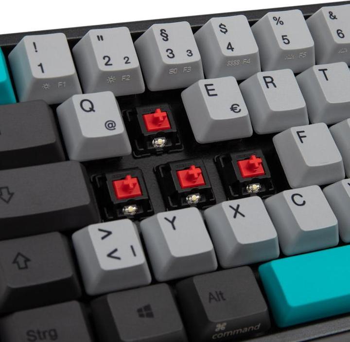 Actual product image Ducky Miya Pro Moonlight (DE, Cable)