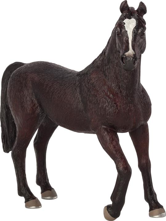 Image du produit Animal Planet étalon arabe