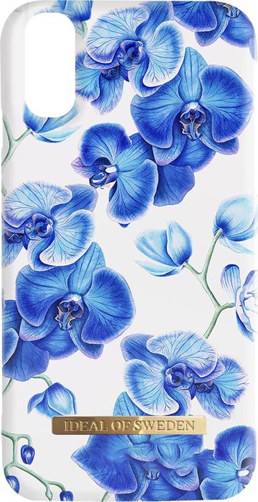 Baby Blue Orchid