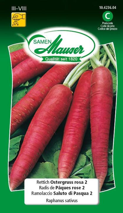 Produktbild Samen Mauser Rettich Ostergruss 2 (Gemüsesamen)