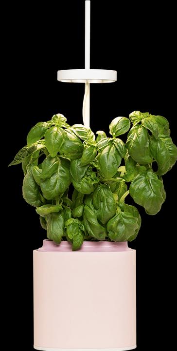 Produktbild Prêt à Pousser Kräutertopf Nano (13.50 cm)