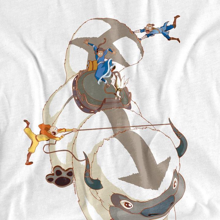 Produktbild Avatar: The Last Airbender Hang On TShirt (XXL)