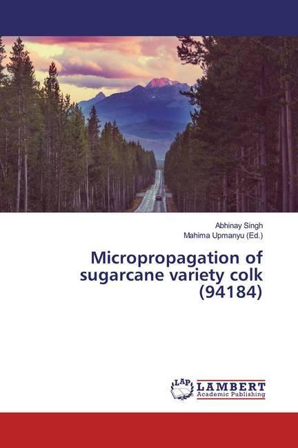 Produktbild Micropropagation of sugarcane variety colk (94184) (Abhinay Singh, 2019)
