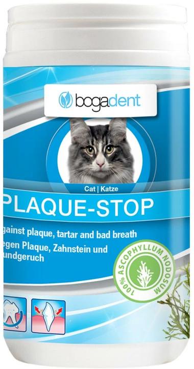 Actual product image Bogadent Plaque Stop (Cat, Dog, 70 ml)