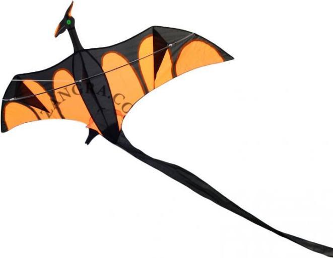 Produktbild Airow Dragon XL drage til børn fra 6 år, 170 x 90 cm