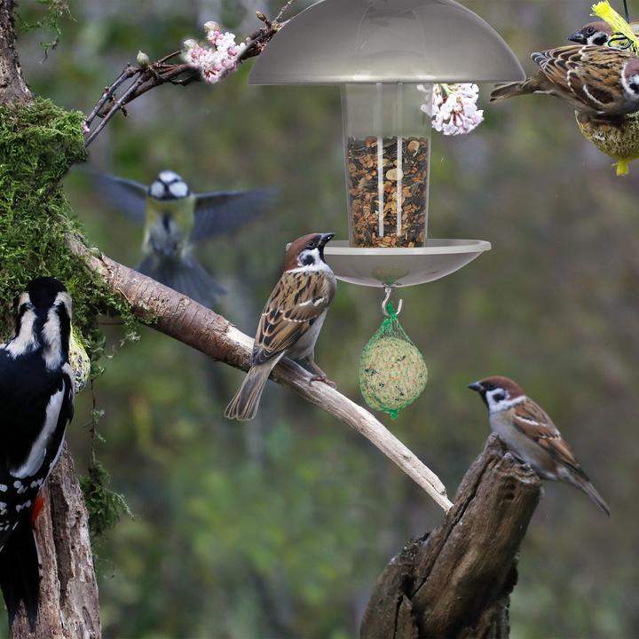 Actual product image Relaxdays Bird Feeder on a Pole