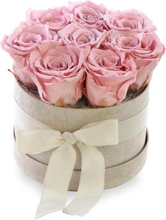 Soli Collection Trockenblumen Rosen 8 Stück, Rosa (Trockenblumen)