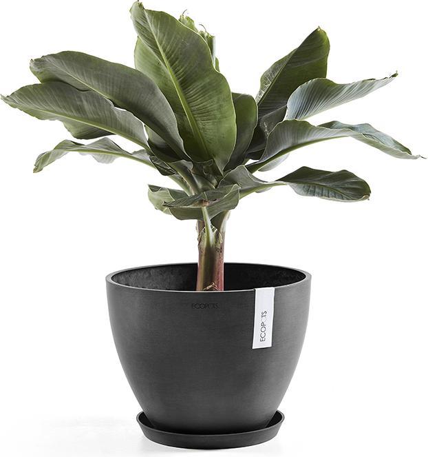 Actual product image Ecopots Saucer Round