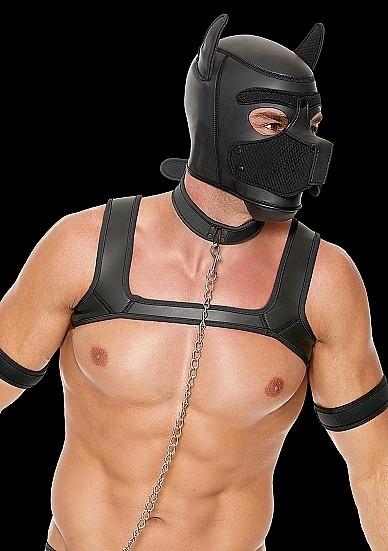 Image du produit Ouch! Kit pour chiots