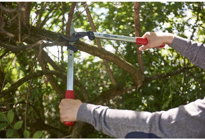 Actual product image Felco Branch shears 211-50