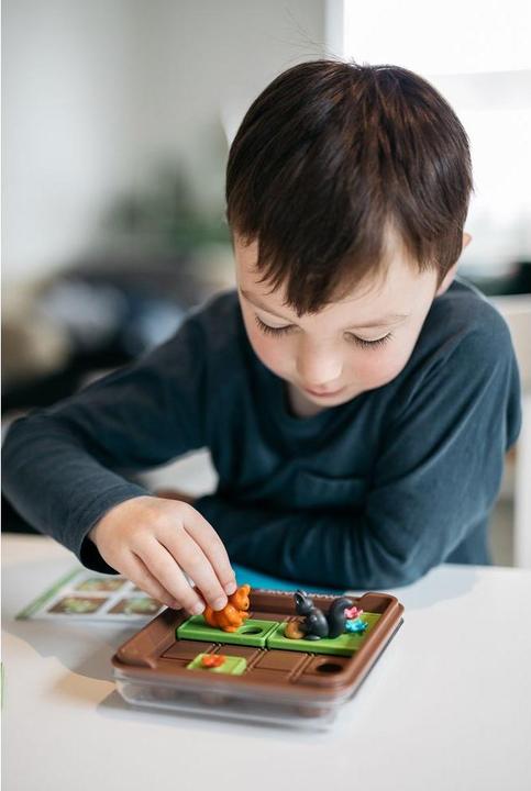 Actual product image Smart Games Squirrels Go Nuts (German, French, Italian, English)