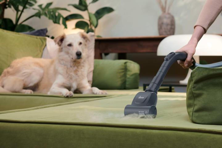 Immagine prodotto Hoover Brezza BR71 BR30