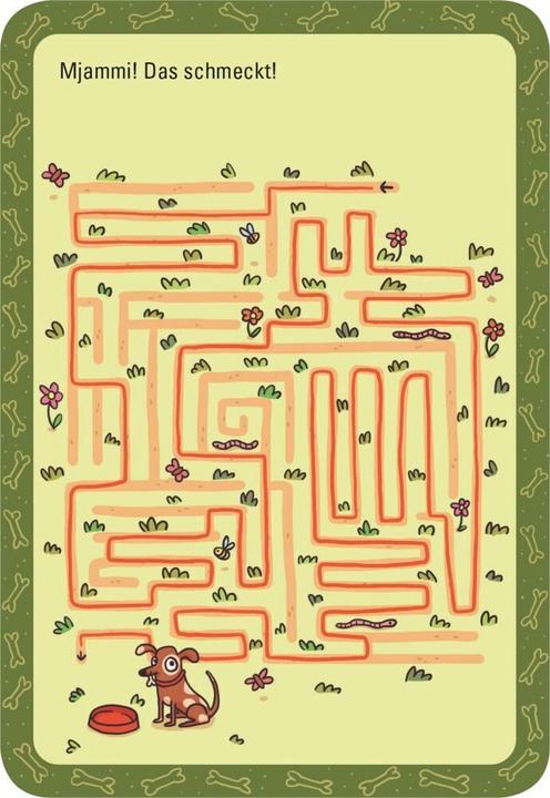 Actual product image 50 darn mazes (German)
