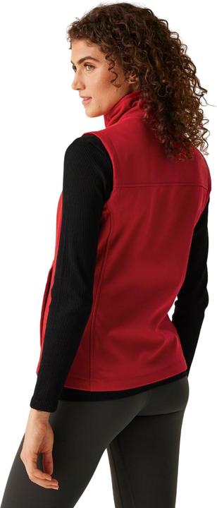 Immagine prodotto Regatta Flux Gilet Donna (44 D)