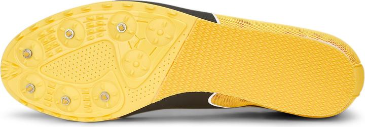 Produktbild Puma evoSPEED Star 8 (44.5)