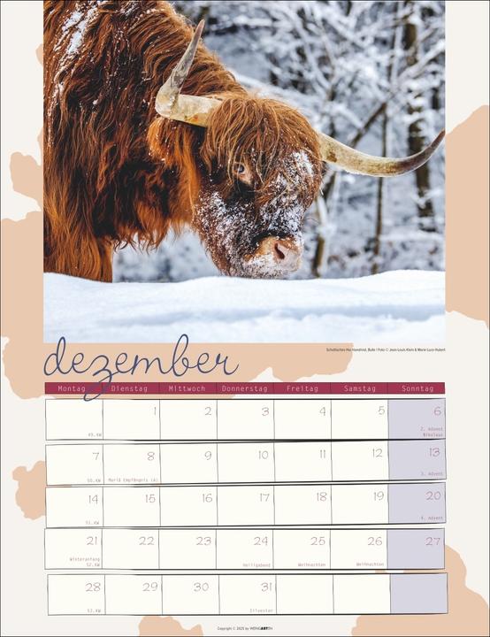 Produktbild Kuh Kalender 2026 (30 x 39 cm, Deutsch)