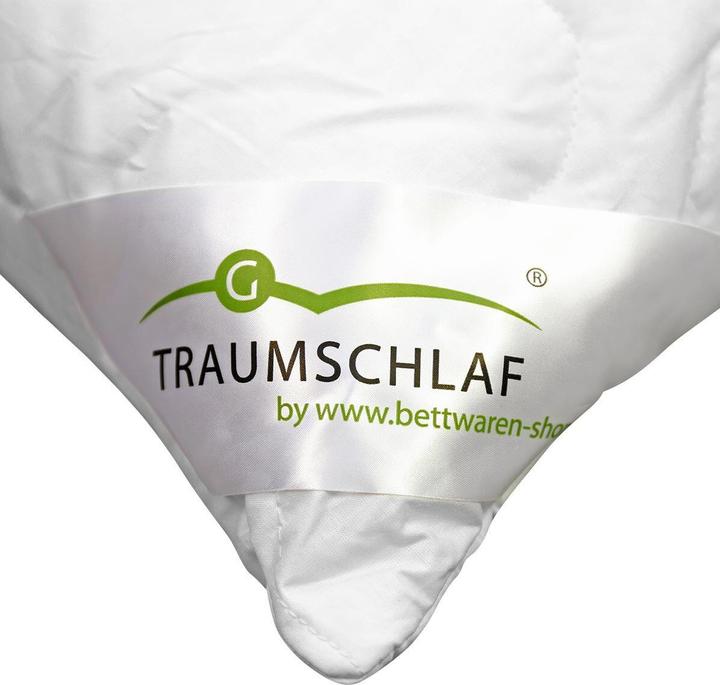 Actual product image Traumschlaf Thinsulate layer cushion (40 x 80 cm)