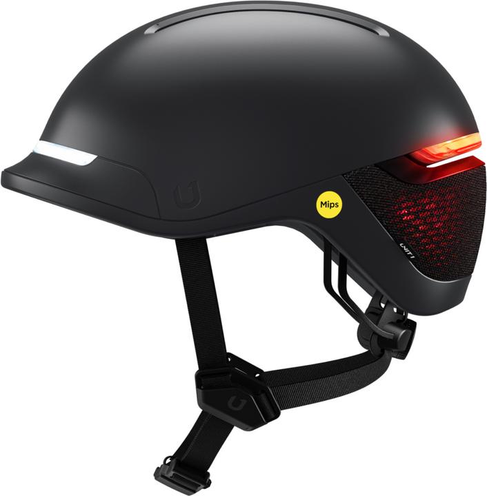 blackbird black