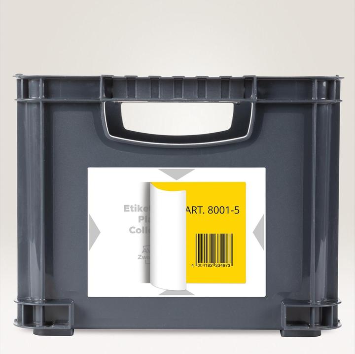 Actual product image Avery Carrier labels