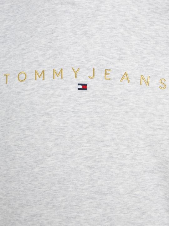 Immagine prodotto Tommy Hilfiger Tommy Jeans Regular Heren Hoodie - Grijs - Maat S (S)