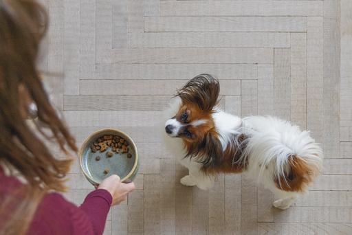 Actual product image Designed by Lotte Jace dog bowl (0.45 l)