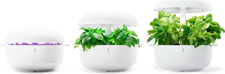 Immagine prodotto Plantui Elemento intermedio