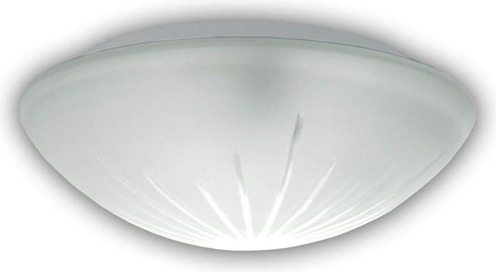 Immagine prodotto Niermann Stand By Vetro Niermann, vetro di ricambio tagliato, vetro di ricambio satinato, 30cm, Made in UE