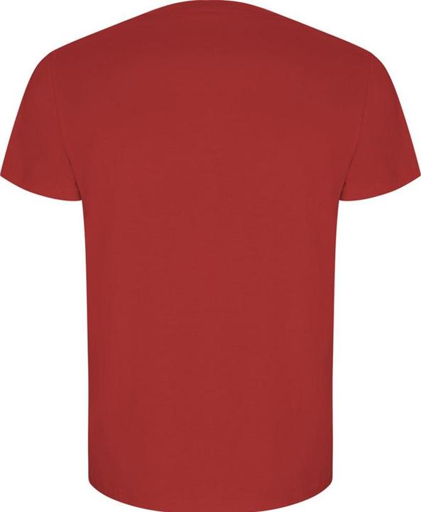 Actual product image Alpinia Mens Golden Plain Short-Sleeved T-Shirt (L)