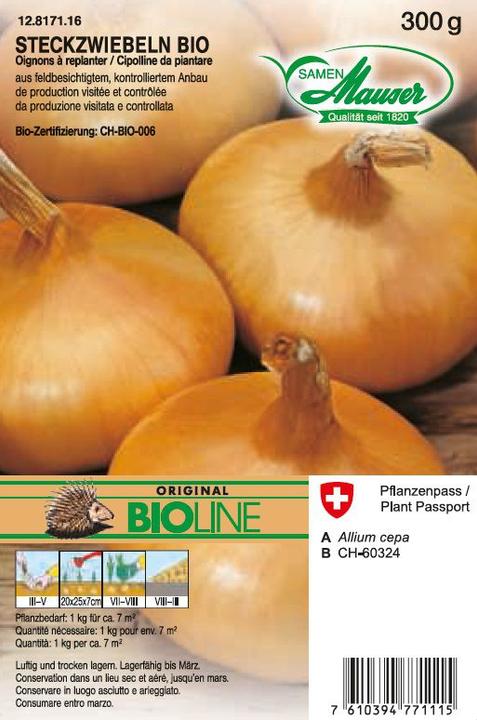 Produktbild Samen Mauser Bio Steckzwiebel Gelbe (Gemüsesamen)