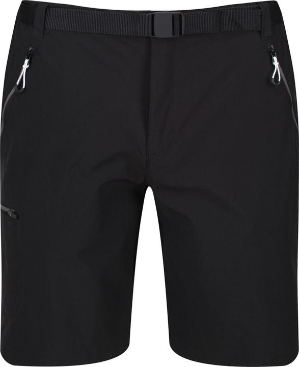 Regatta Xert Stretch Shorts III (40)