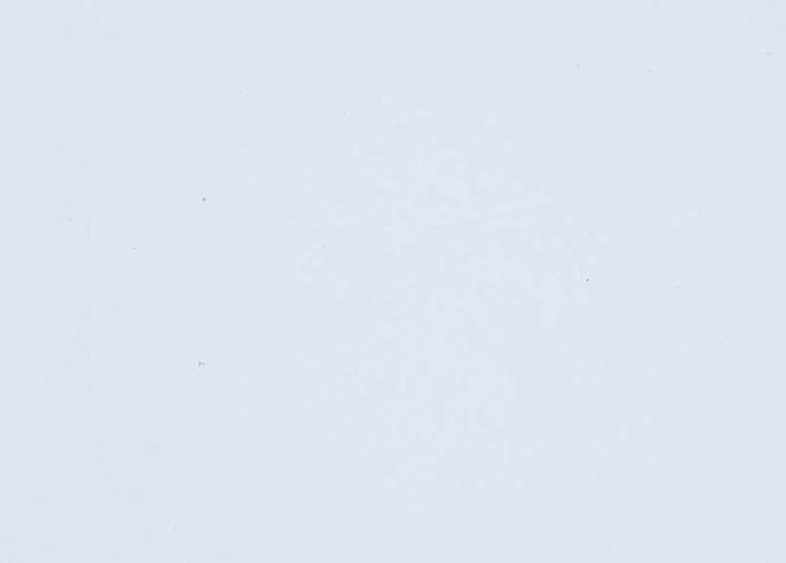 Immagine prodotto Folia Gomma spugna