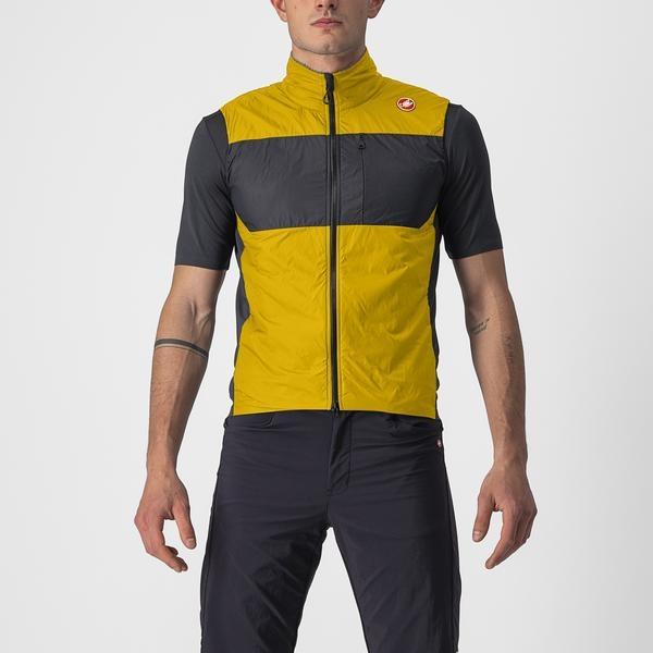 Goldenrod, Dark Gray