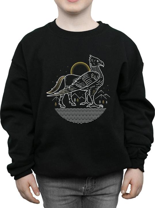 Actual product image Boys Buckbeak Line Art Sweatshirt (140, 146)