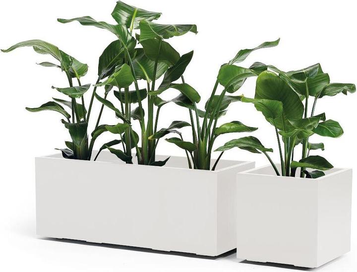 Image du produit Euro3plast Bacs à plantes (39.50 cm)